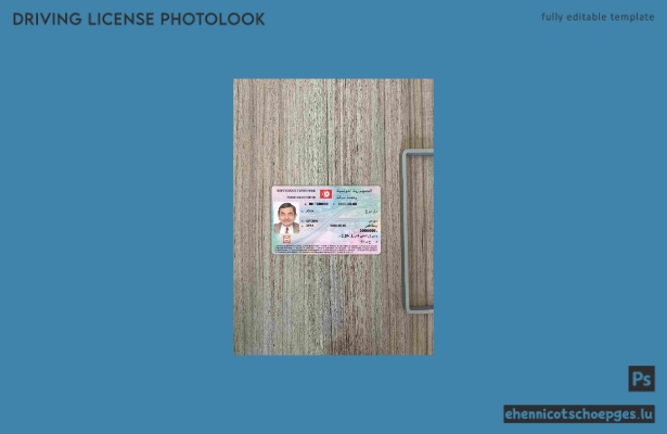 Beispielvorschau für das Foto des tunesischen Führerscheins